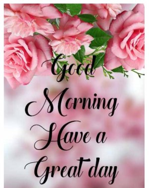 Good  morning Rose.jpg