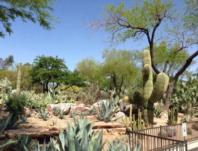 Ethel M cactus garden.jpg