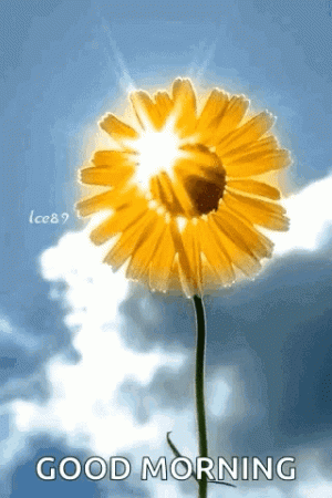 1000008188.gif