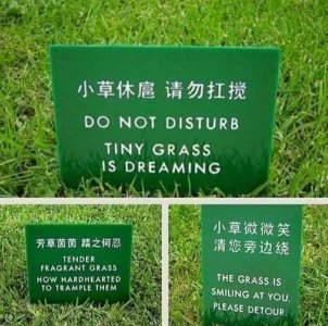signs3.jpg
