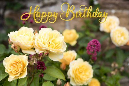 Birthday 202 jpg.jpg