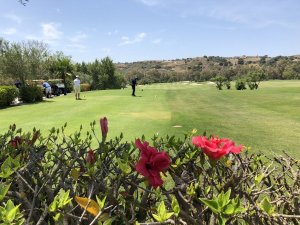 Golfspain.jpg