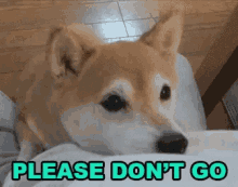 E19DDE4E-4536-4000-A672-D35F7245D389.gif