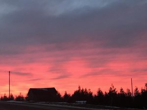 21523C01-81EB-47B2-B4F4-BC3FD33AB4A9.jpeg