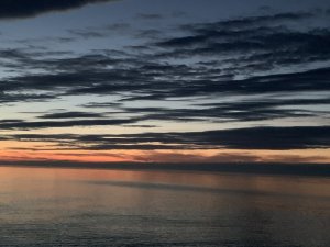 989B52D9-CE25-4BB1-9EF5-D6D2F70B9901.jpeg