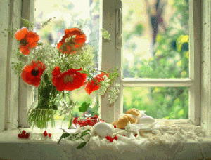 Vase 2019.gif