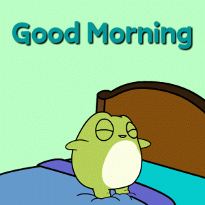 IMG_4959.gif