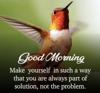solutionmorning.JPG