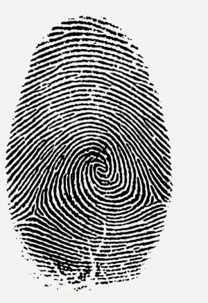 fingerprint.jpg