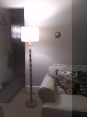 floor lamp jpg.jpg