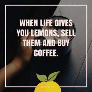 life and lemons.jpg