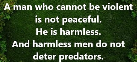 harmless man.jpg