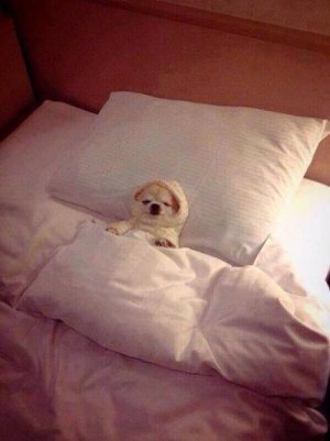 sleepybye.jpg
