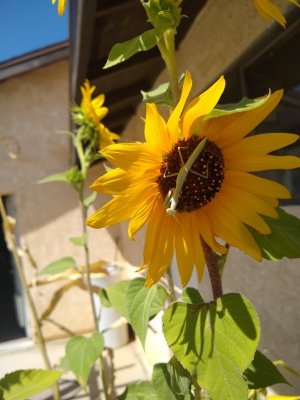 IMG_20220821_114608816.jpg