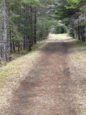 IMG_3562.jpeg