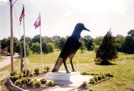 raven0001.jpg