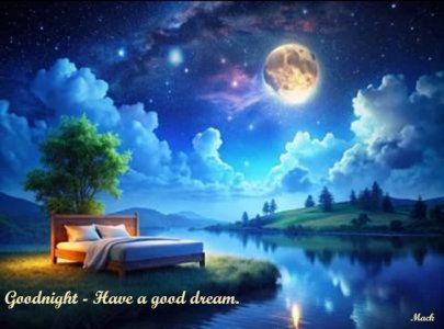 night050126.jpg