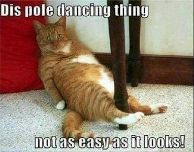 pole dancing.jpg