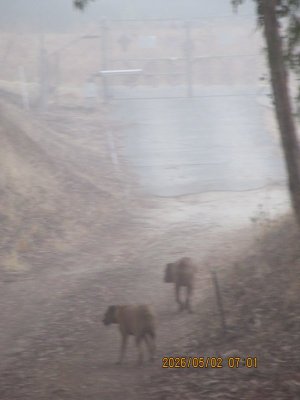 IMG_7909.JPG