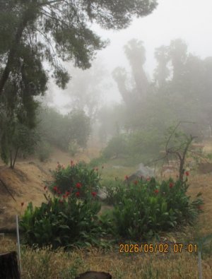 IMG_7910.JPG