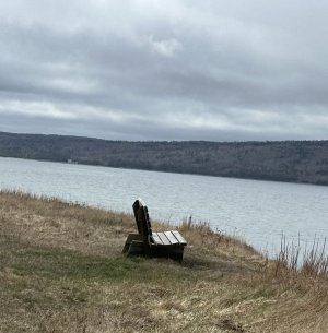 IMG_3576.jpeg