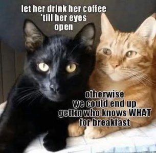 FB_IMG_1776727187313.jpg