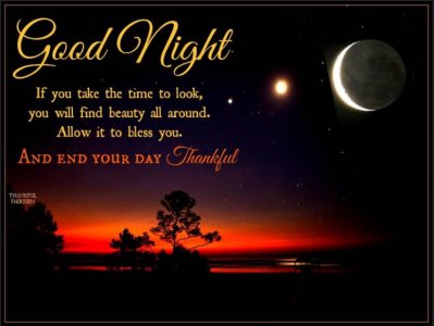 beautynight.JPG