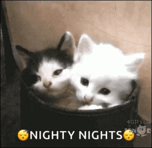 1000008439.gif