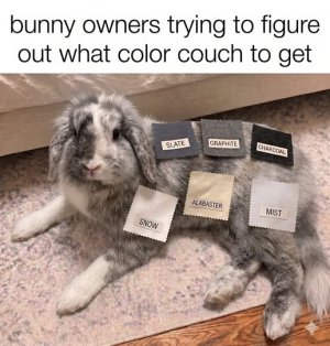 421.jpg