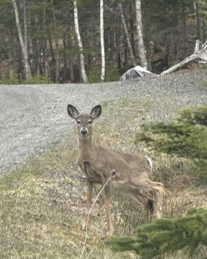 IMG_3608.jpeg