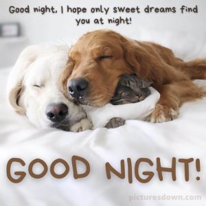 gdnt.swt.drms.find.u.jpg