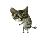 Animated_Dancing_Cat_1.gif