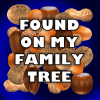 IMG_5075.gif