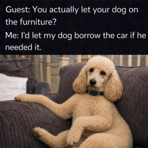 FB_IMG_1777820693310.jpg