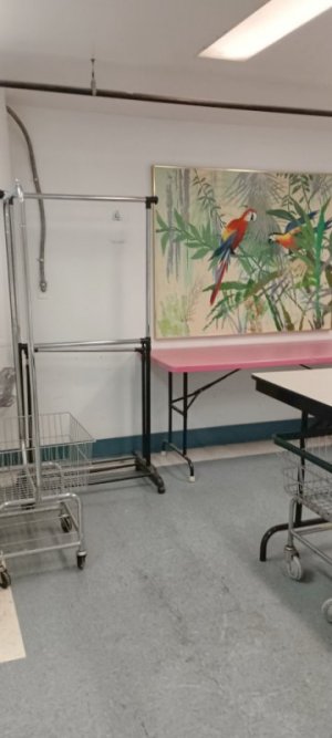 Laundry Roomb.jpg