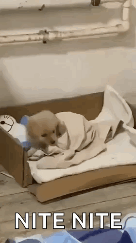 1000008437.gif