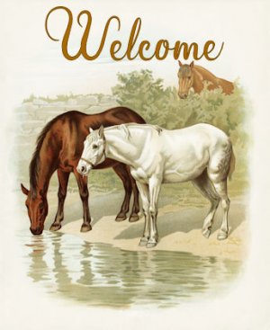 Welcome 116 jpg.jpg
