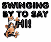 hello-monkey.gif