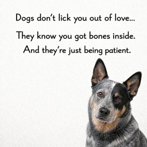 bones.jpg