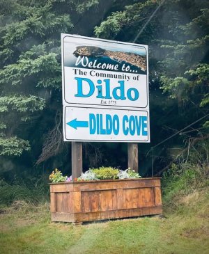 Dildo Sign.jpg