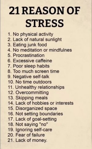 21 Reasons For Stress.jpg