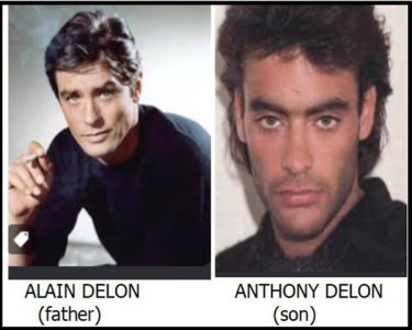 delon.jpg