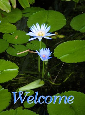 Welcome 148 jpg.jpg