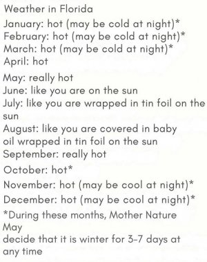 Florida weather.jpg