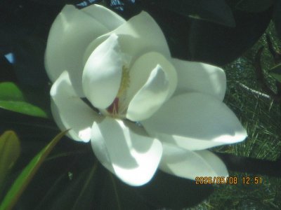 IMG_7992.JPG