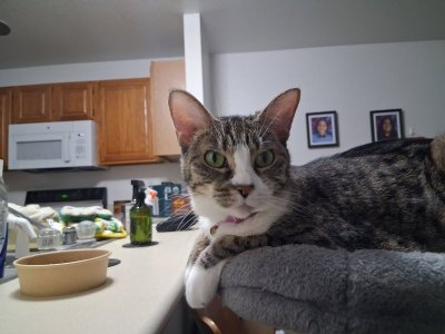 may8audrey.jpg