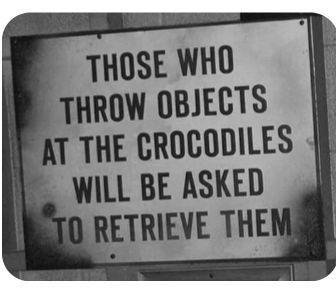 dont-throw-things-v0-iwy9k1oev10h1.jpeg