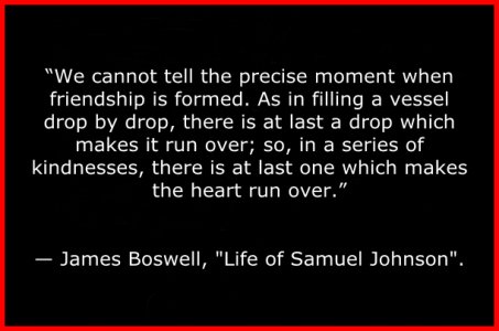 LIFE OF JOHNSON QUOTE.jpg
