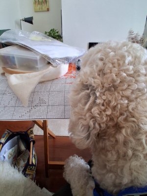 cross stitch.jpg