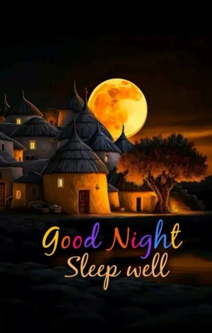 good night nice.jpg